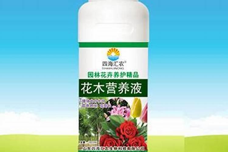 大树营养液能浇花吗？