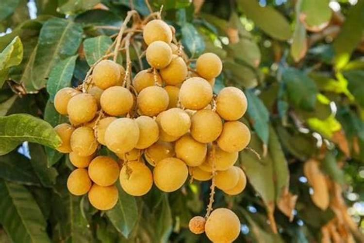 贵州锐钰鑫生态种植有限公司怎么样？