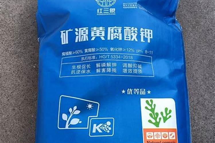 小麦冻害的补救措施