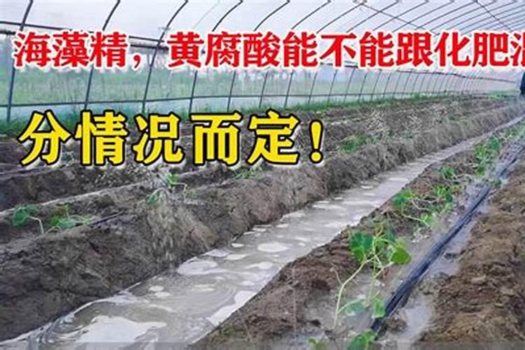 植物缺氮,缺磷,缺钾各表现出的现象是怎样的？