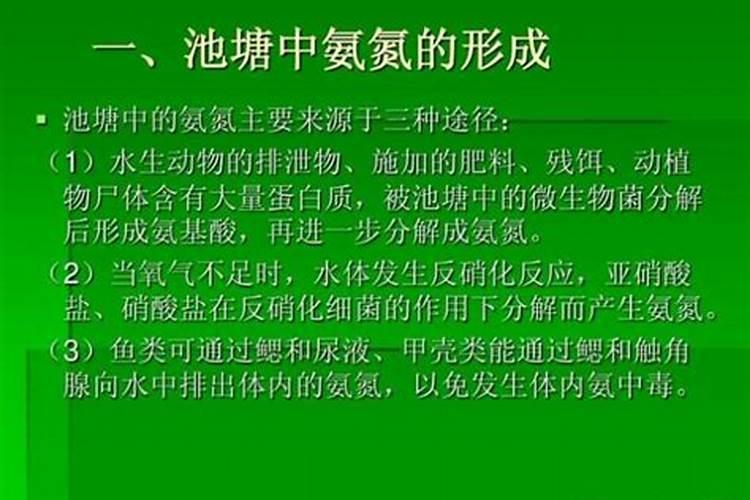 水产养殖中用什么氮肥最好