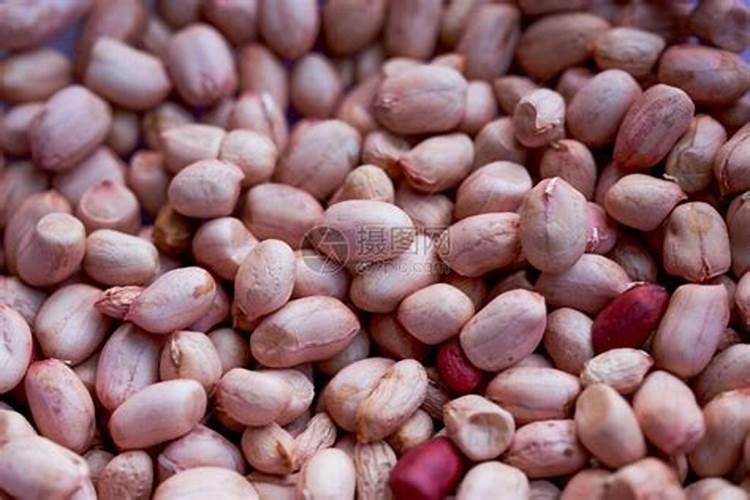 磷肥在什么时候施肥最好？月季什么时候施磷肥