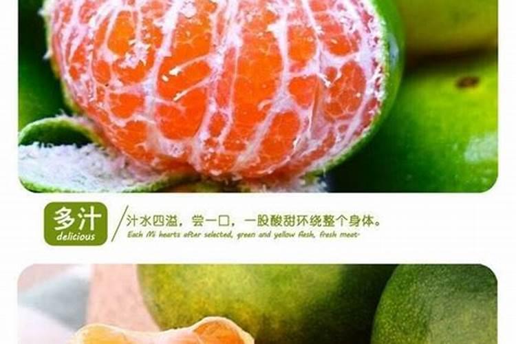 沃柑是橘子还是橙子？