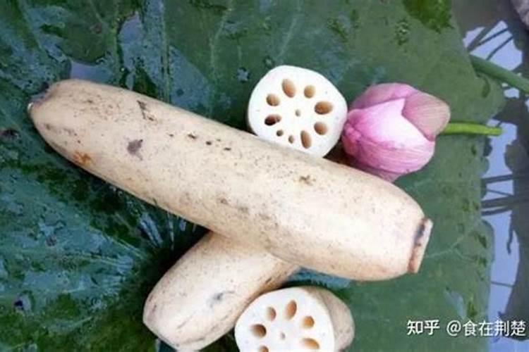 莲藕用什么肥料最好