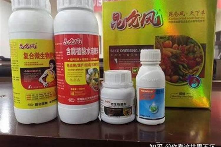 小麦和燕麦营养价值有什么不同