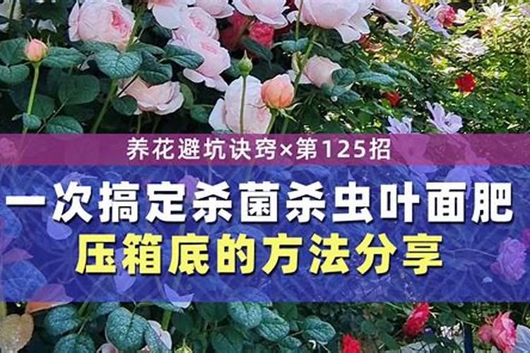 水溶肥的配方和制作方法