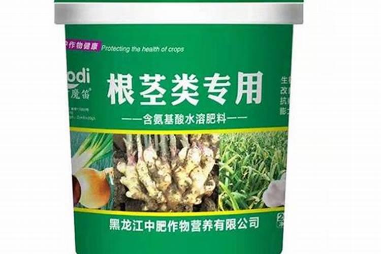 黄瓜浇水的正确方法 黄瓜秧几天浇一次水