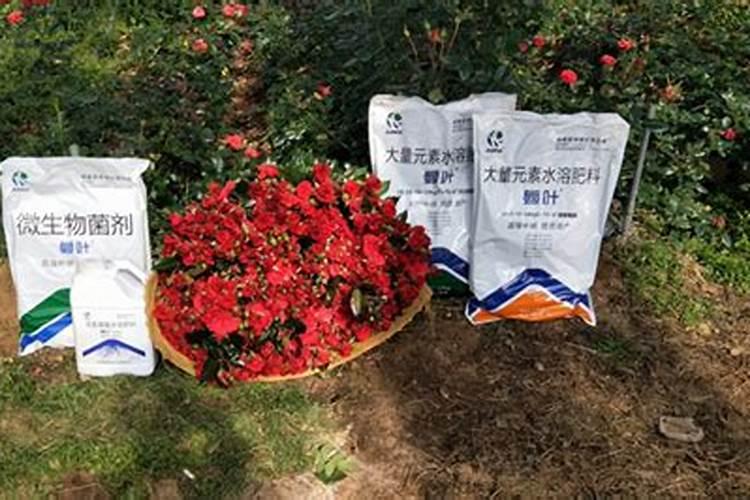最方便的磷钾肥