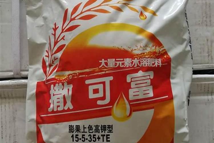 物理的力学怎么理解？