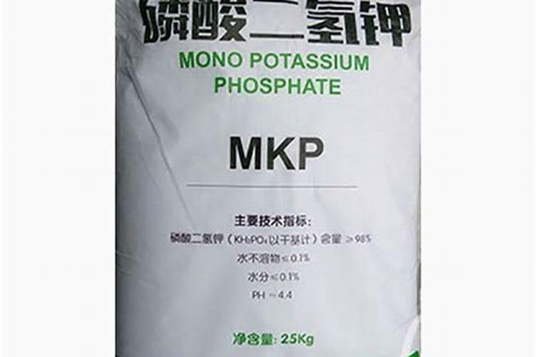 珍珠枣油桃种植技术