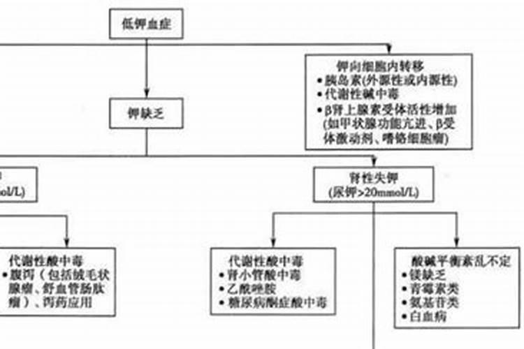 君子兰土里可以放鸡蛋吗