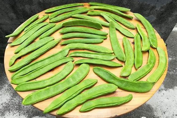刀豆的种植时间与方法