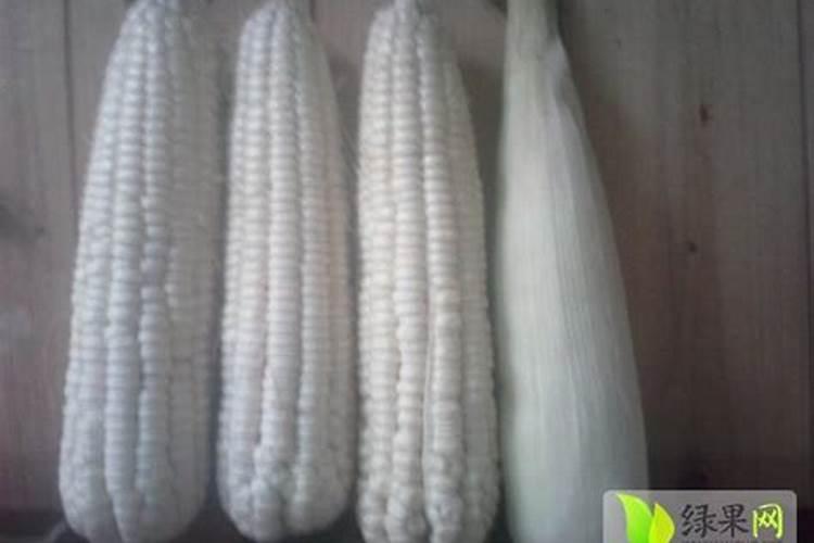 施可丰玉米专用肥价格表