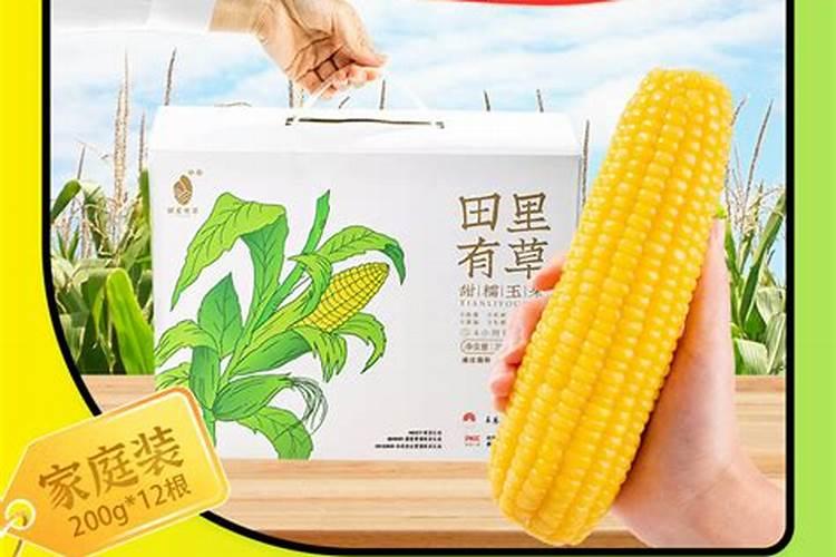 金正大控释玉米专用肥261212多少钱一吨