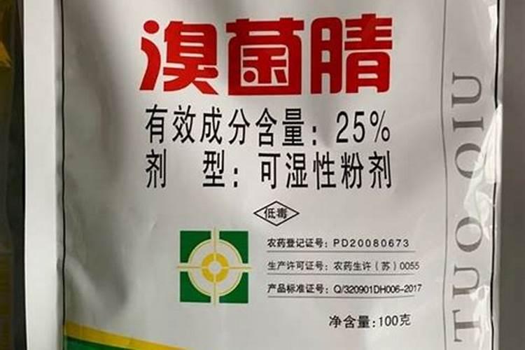 西葫芦苗怎么了,是啥病？