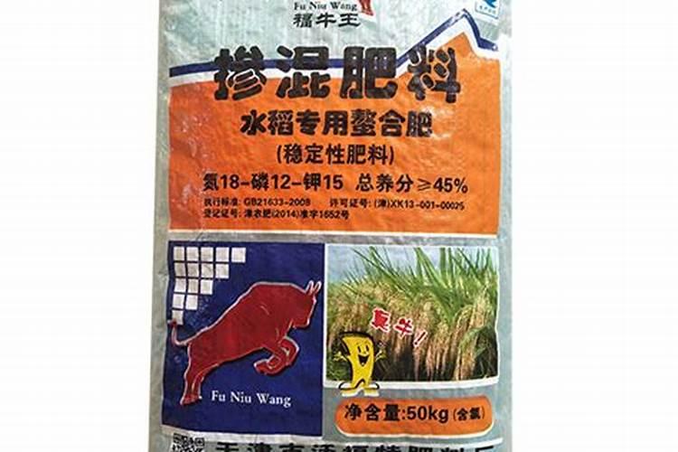 茴香什么季节可以种