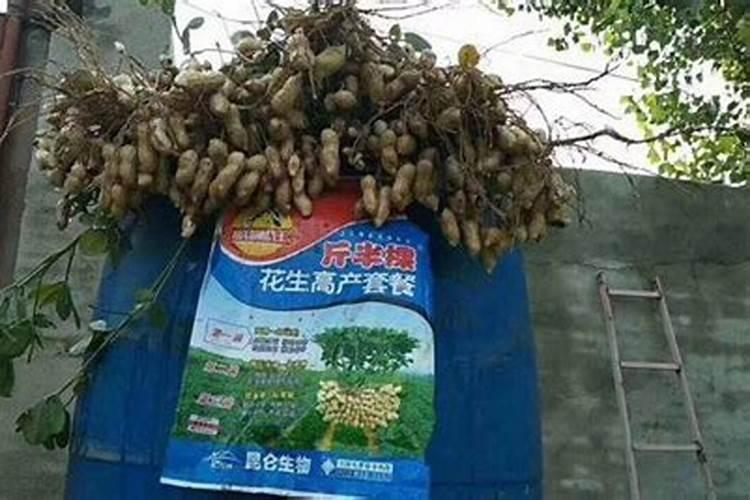 吉林省超级稻品种有哪些