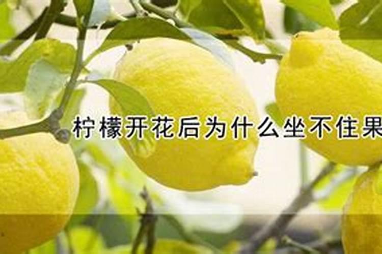 中医农业讲座作物缺素的诊断与防治!
