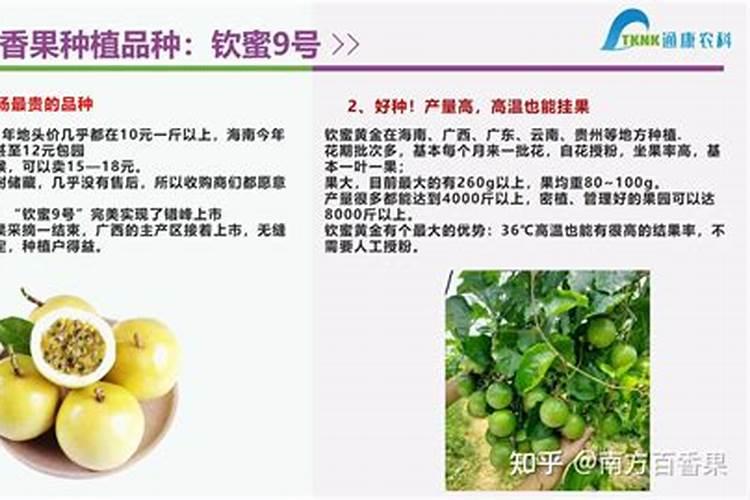 百香果施什么肥挂果多
