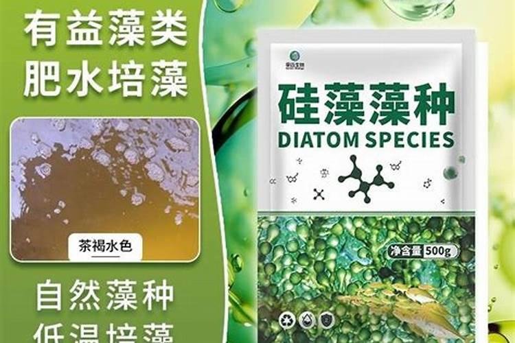 富营养化水体用什么肥水好