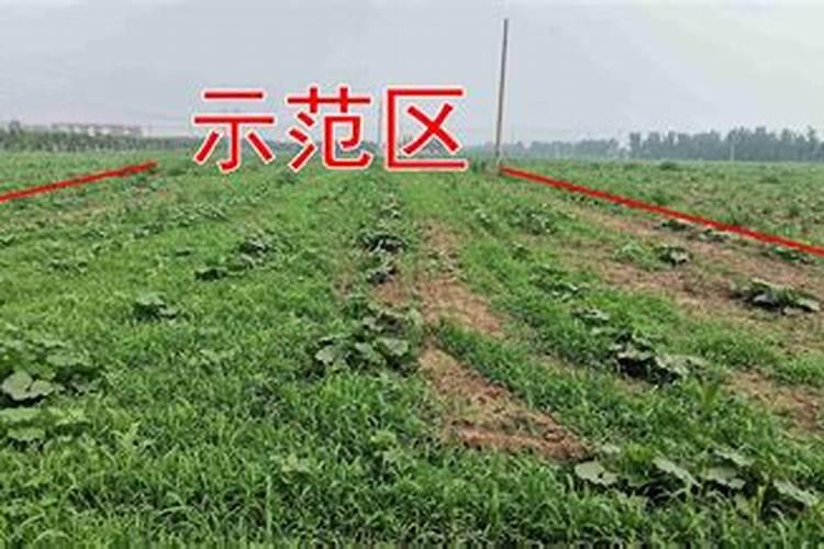 如何区别大量元素、中量元素、微量元素？