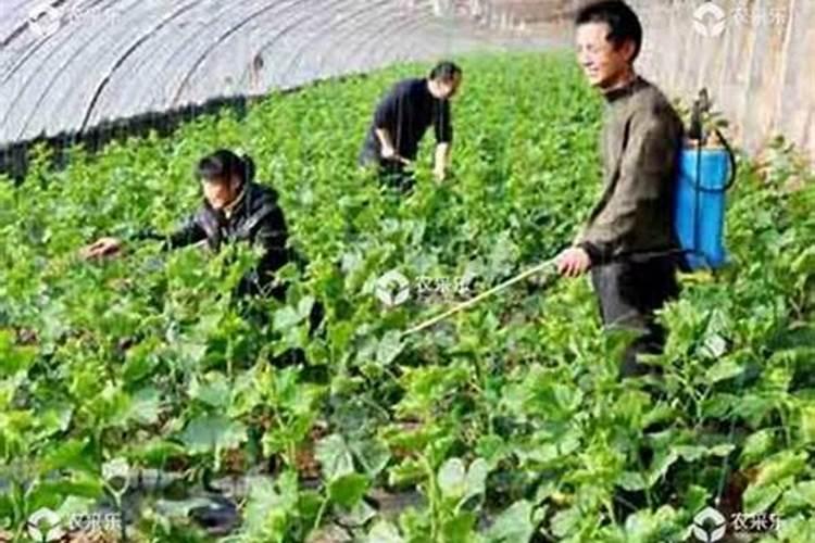碳酸氢铵溶液显什么性