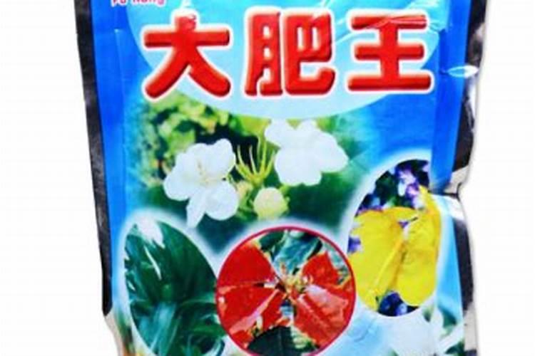 大肥王埋土还是溶水里