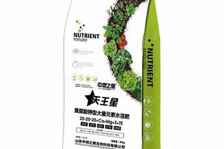 芸豆育苗怎么育