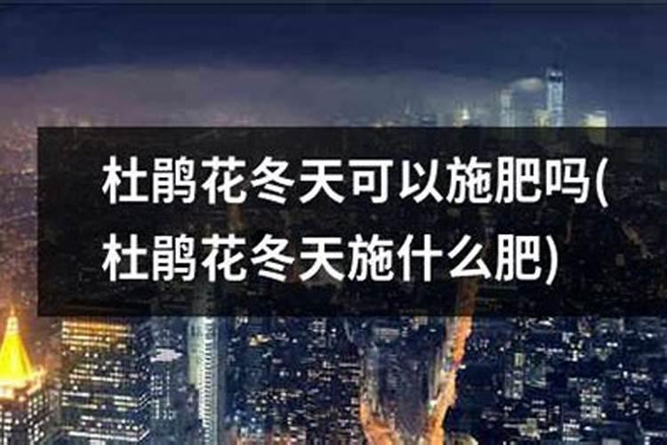 钙肥是什么