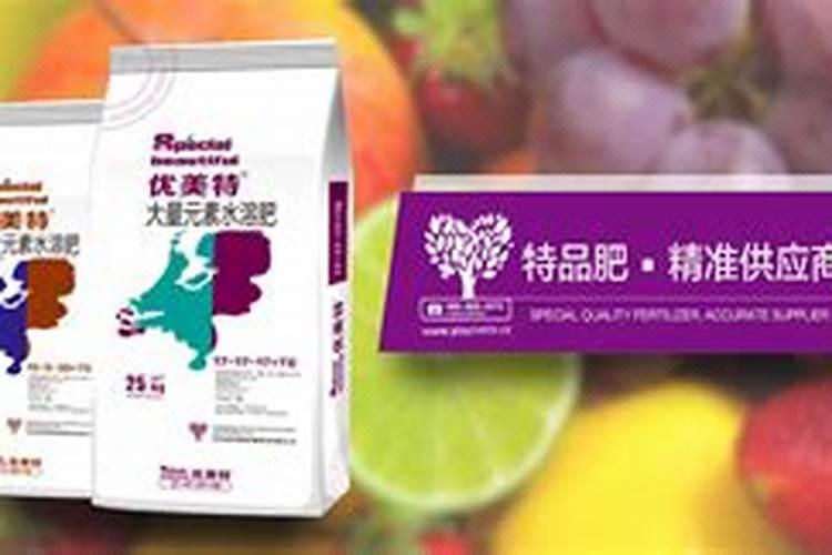 广东有哪些化肥厂