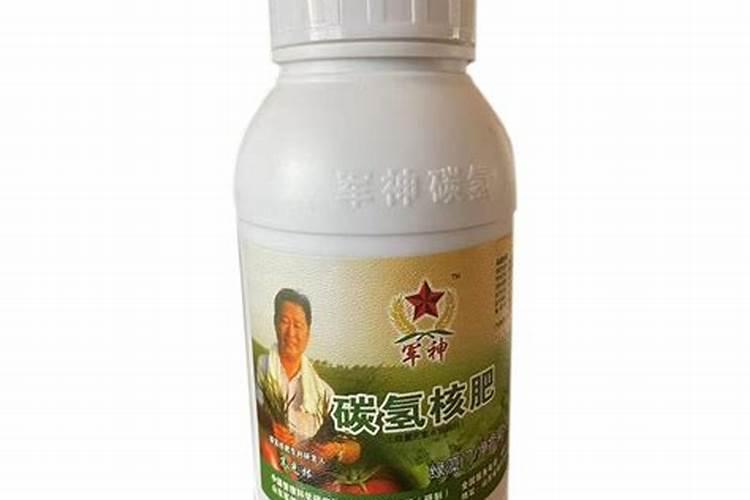 冬季大鹏里芹菜叶子卷着还不张是怎么回是
