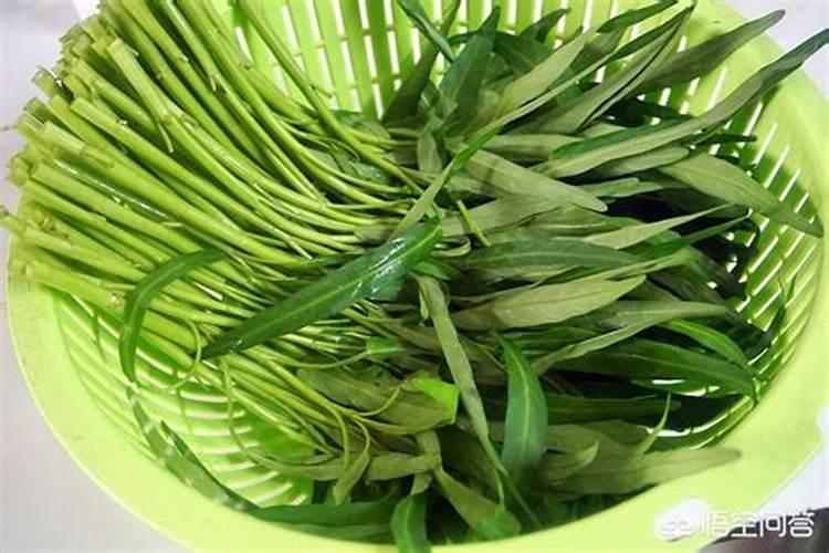 沃柑的保存最佳方法