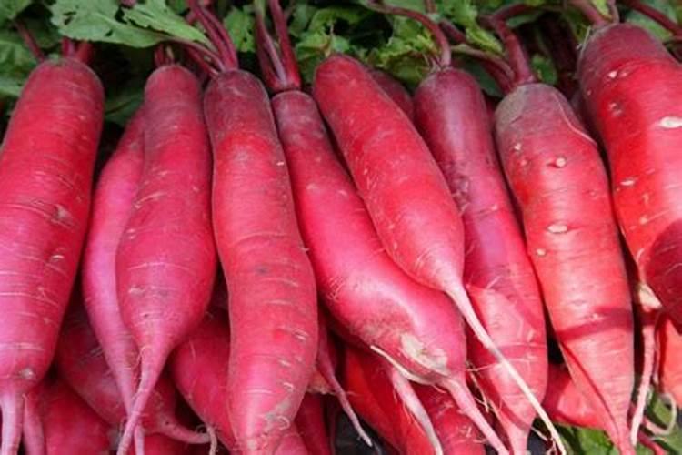 蔬菜用什么叶面肥好？