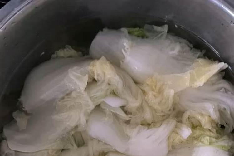 白菜用什么叶面肥好