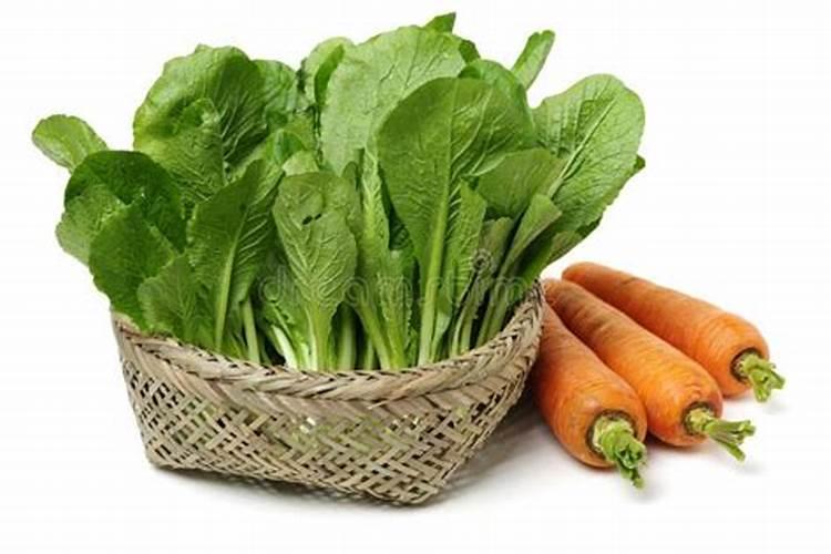 白菜叶面肥的使用方法 使用叶面肥的教程