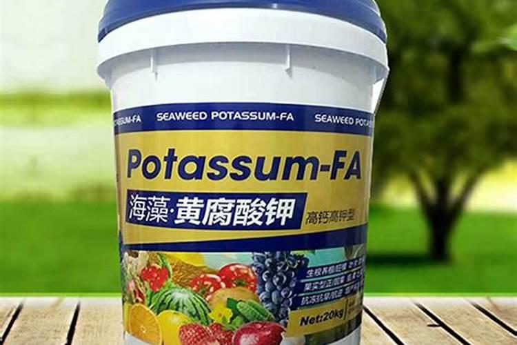 十大名牌矿源黄腐酸钾