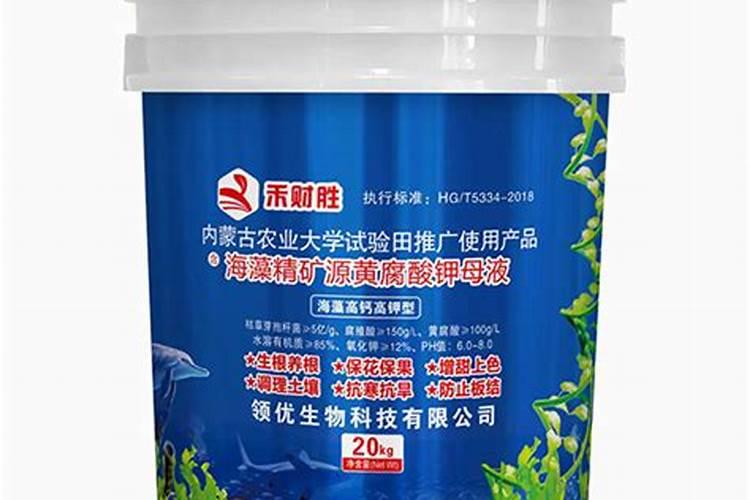 使用海澡精多少天生根
