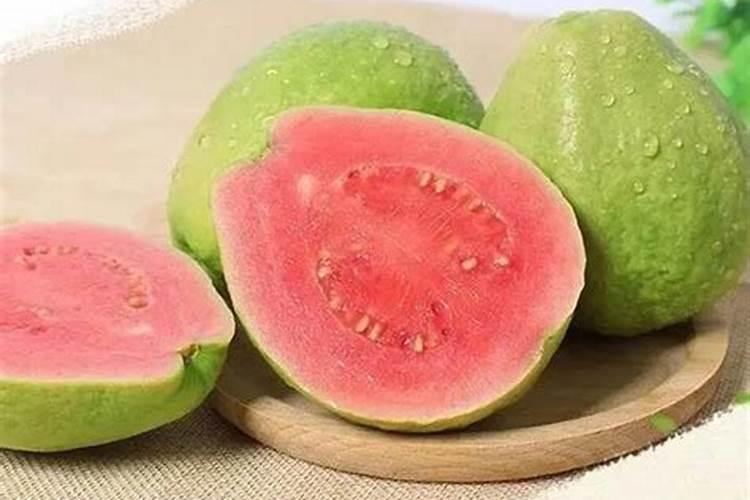 芭乐播种方法