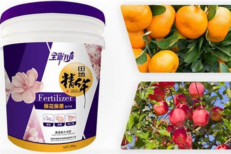 沙糖桔膨果期用该沲什么肥