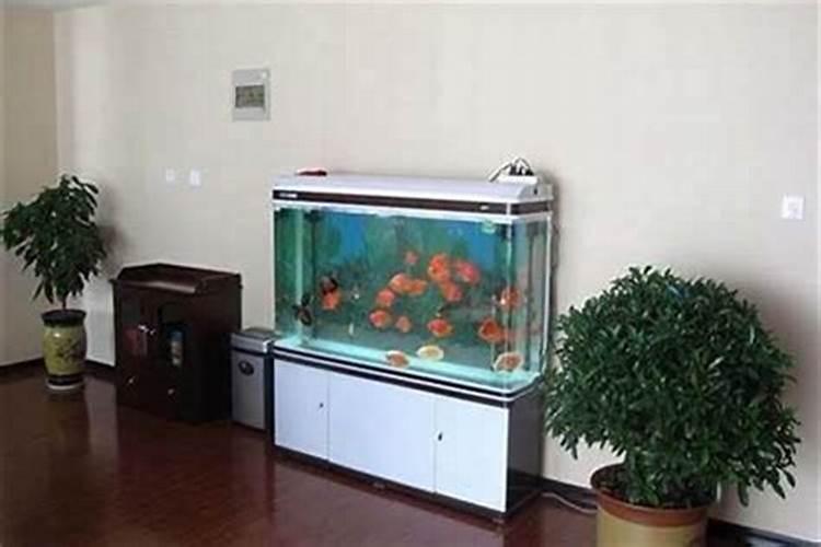 水溶肥使用禁忌