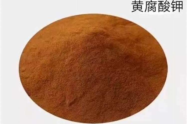 龙船花换盆方法