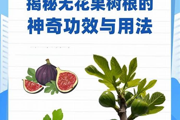 磷肥适合哪些蔬菜