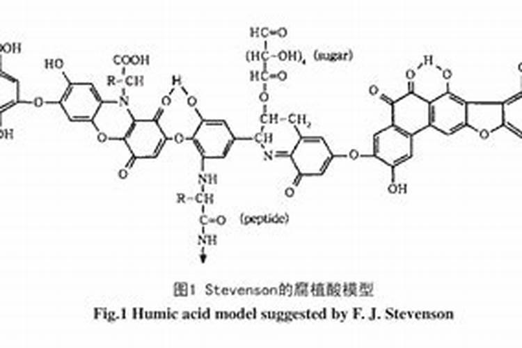 饺子店取什么名字好