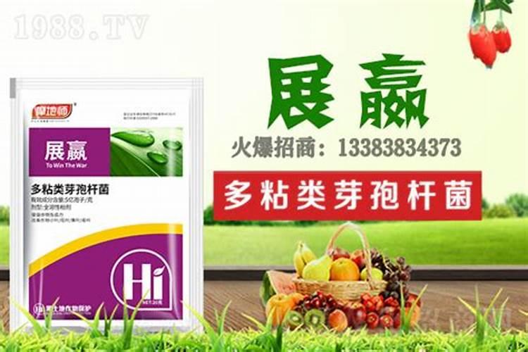 大姜膨果期用什么肥料好？