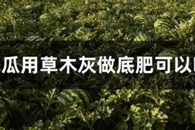 磷肥做底肥会烧根吗