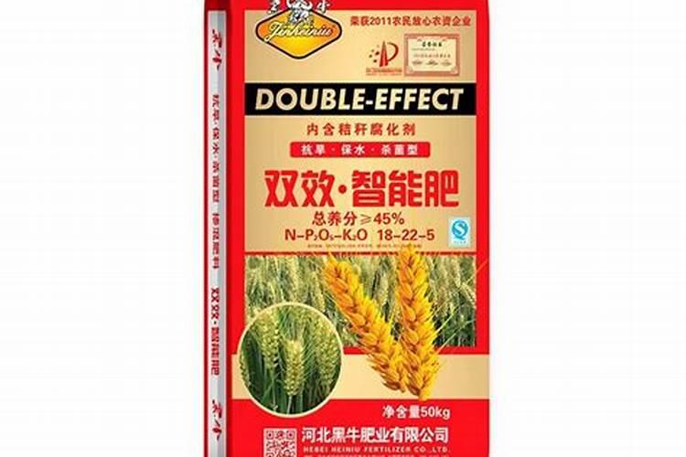 桔子叶子是怎么回事