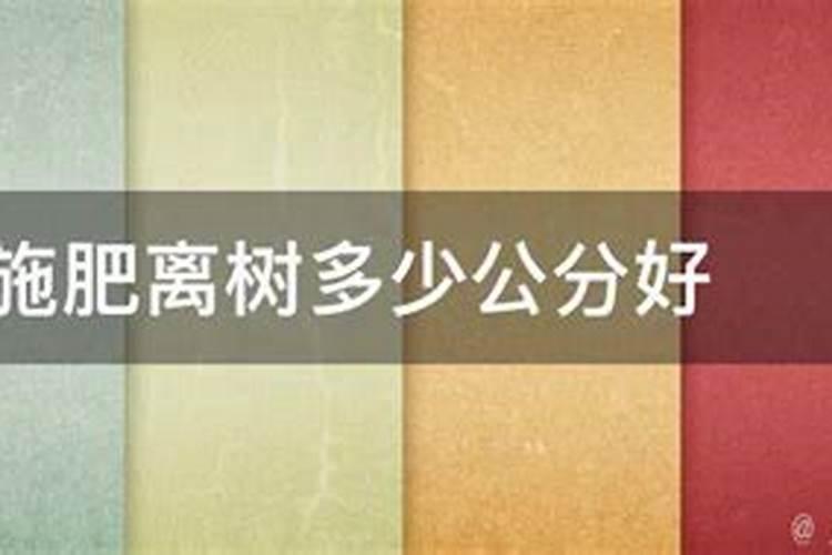 蓝花草的养殖方法？