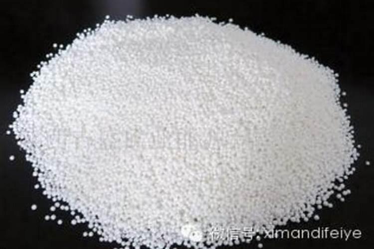 玉兰树的病虫害如何防治