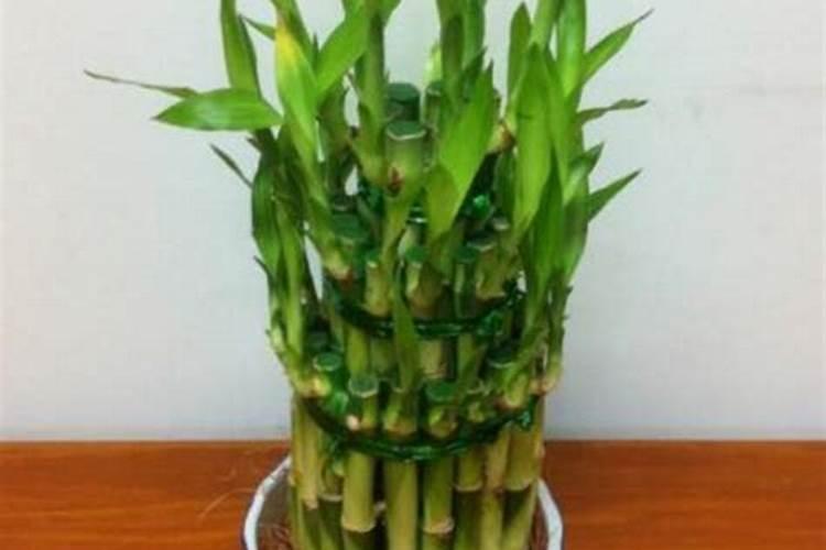 硝盐是什么