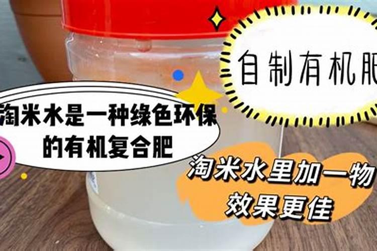 月季花施什么肥料好